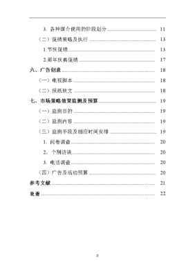 創(chuàng)維彩電廣西市場(chǎng)年度營(yíng)銷策劃方案